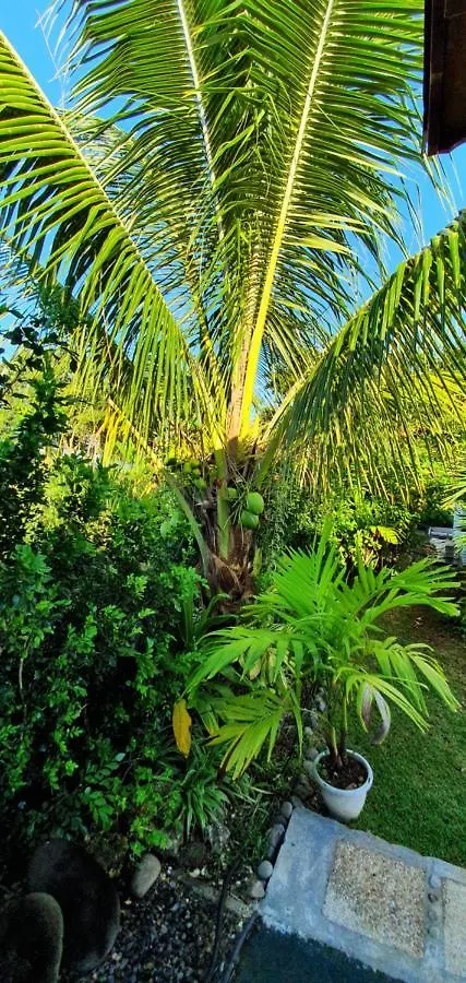 Holiday home Les Cottages De Roseau Capesterre-Belle-Eau